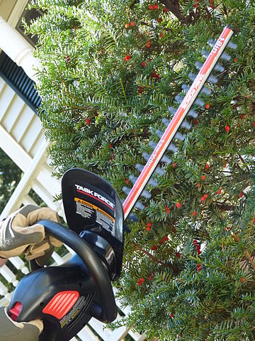 6 Reasons Hedge Trimmer Blades are Not Cutting - Outdoor Tool