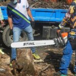 Are Chainsaw Bars Universal? are-chainsaw-bars-universal