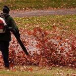 leaf-blower-1-Cbaile19
