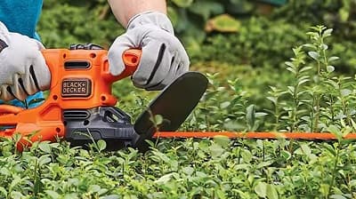 How You Remove Sap From a Hedge Trimmer? - Outdoor Tool Guide