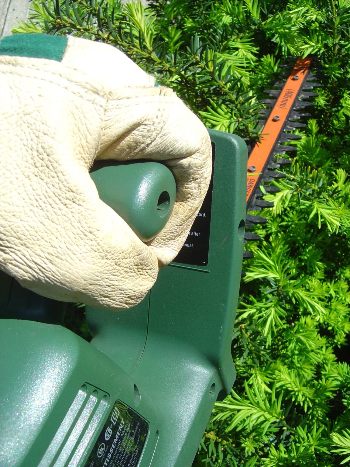 Can Hedge Trimmers Cut Bushes? Outdoor Tool Guide