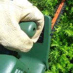 Can Hedge Trimmers Cut Bushes? Can Hedge Trimmers Cut Bushes?