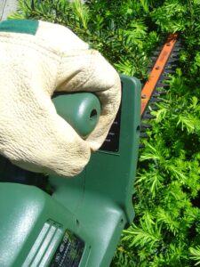 Can Hedge Trimmers Cut Bushes?