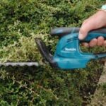 hedge-trimmer-cut-weeds-Mark-Hunter