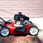 Can Lawn Mowers Cut Tall Grass? Can Lawn Mowers Cut Tall Grass?