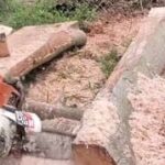 chainsaw-vs-circular-saw